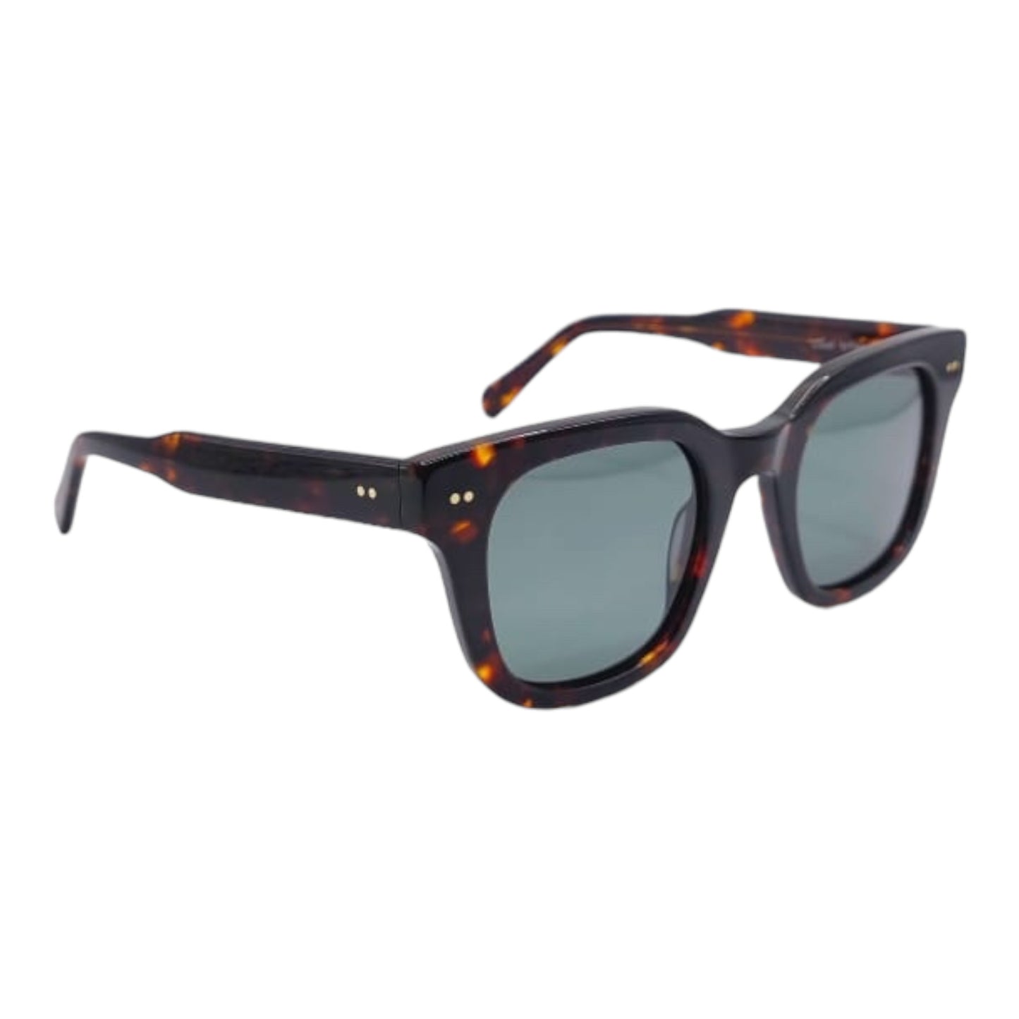 CLARK con LENTE POLARIZZATA